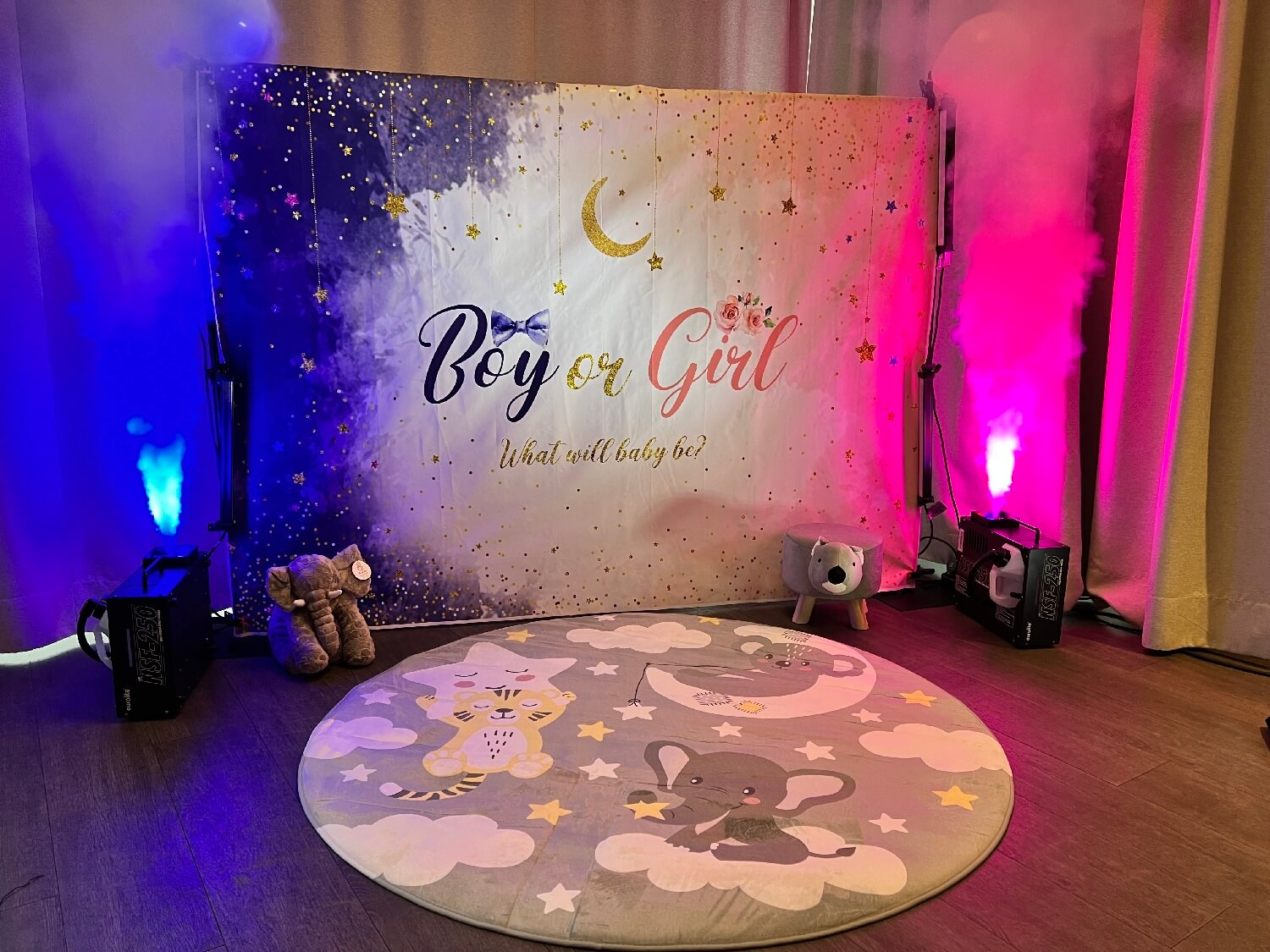 Gender Reveal Party buchen